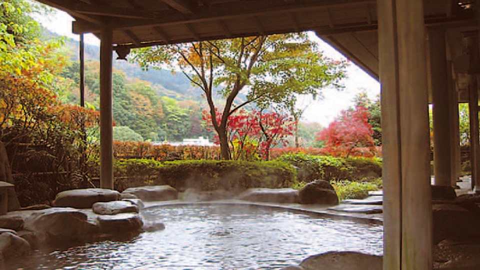 こごめの湯 の写真