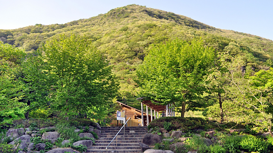 幕山公園 の写真